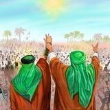 فـاطِمه أمَيرتي || 🦋.