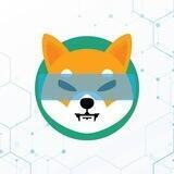 ShibaGPT-4 | Launch 17:00UTC Today