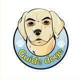 Guide Doge官方中文社区