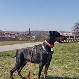 Tiffanyinprague