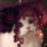 hi. account ml