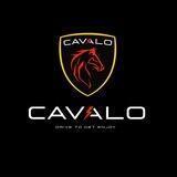 Cavalo Uzbekiston