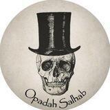 General Anatomy With Dr.Opadah Salhab 🎩