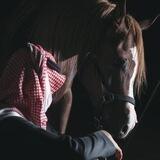 فارس العتــــ*🇸🇦ـيبي🕊