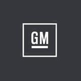 GM ViperMod ®