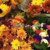 يومـ.قصص💔 واقعية.ـيـات