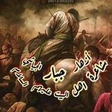 قناة طف الرزايا 🇮🇶 آآآه يا زينب