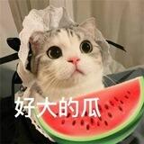 🍉 吃瓜视频 亚太 悬赏 曝光