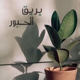 بَرِيقُ الحُبور🍃