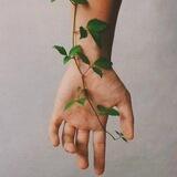 روزانه های ما 🌱