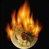 RONIN INU BURN