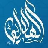 قناة الشيخ العلامة الدكتور تقي الدين الهلالي المغربي