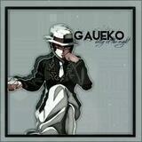 – [🌃] gaueko