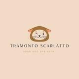Tramonto scarlatto shop||TS shop