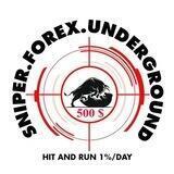 Sniper Forex UG