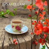 💞 سلام صبح بخیر💞