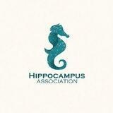 Hippocampus Association