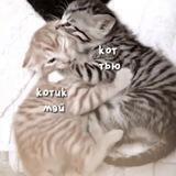фанаты юки и ëнпина