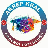 TÜRK DİLİ VE EDEBİYATI