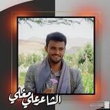 علي مغلي | Ali Mogli