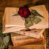 دنیای رمان 𝐏𝐃𝐅📚