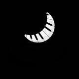 Night Rhythms