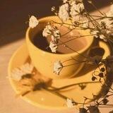 آسٰٓتَہَٰڪٰྀہٰٰآنَِہهٰہٰٖ 🌻🌧 ❤️