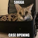 Sogga
