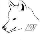 Preparacionismo 🐺
