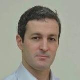 ארז תדמור