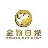 金狗日报