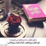 🌹🌹ربيع القلوب🌹🌹