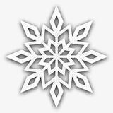 雪花科技-404交流群