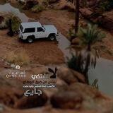 مكشات حائل