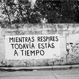 Lucha X tu libertad canal