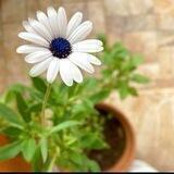 ودق 💛 ••