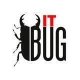 IT Bug(Основные сущности)