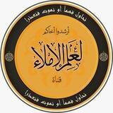 أَرْشِدُوا أَخَاكُم قناة لعلم الإملاء
