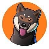 Shikoku Inu (四国犬) | Portal