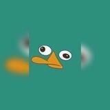 يولاند.‏💙