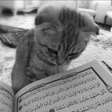 -روحٌ وَ ريحَان.