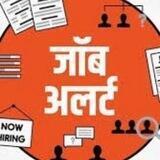 Job katta 🎯