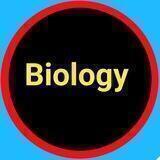 Biology Quiz in English