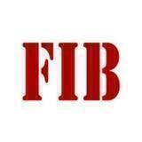 FIB - федеральное информационное бюро