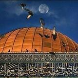 فلسطين عاجل