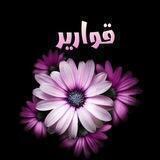 🎀 قوارير 🎀