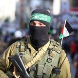 العِـشقُ الأخضـر 💚