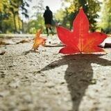 ♡خــ،الــحـ🍁ــب،ـريــف،❀