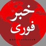 خبر فوری🔴