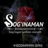 Sog'inaman Sani...